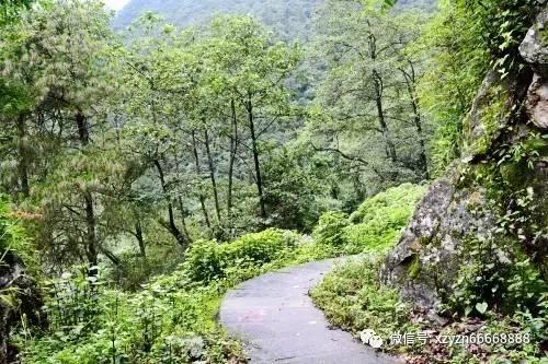 鱼腥“最怕”的不是料酒，而是这4味料，做鱼时加点，鲜嫩无腥味